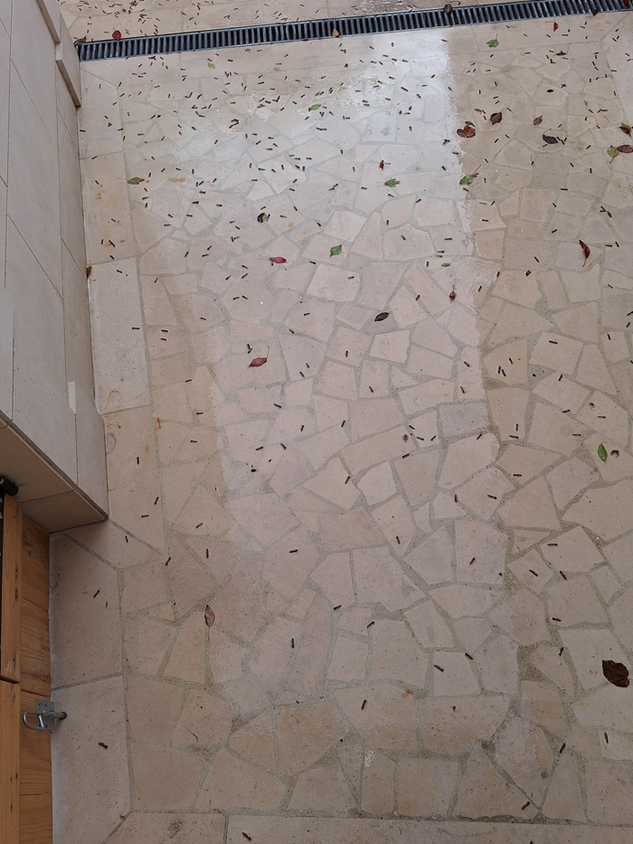 2 - carrelage-dallage extérieur (1)